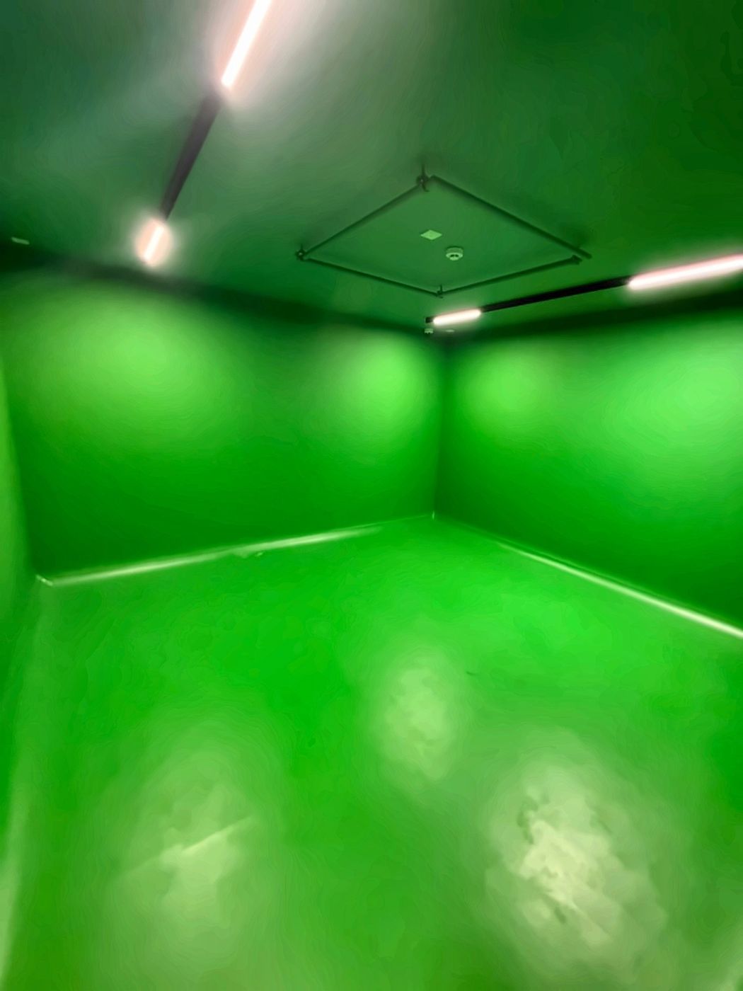 The Green Screen
